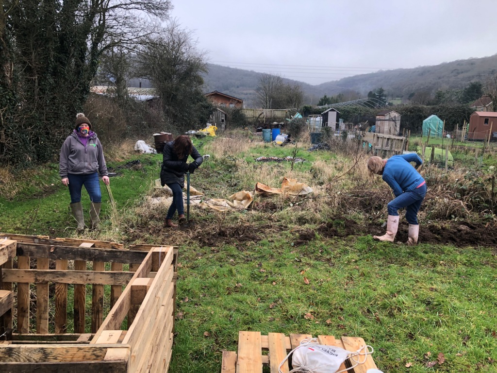 Preparing raised beds at The Space Charity allottment - Clearing the site