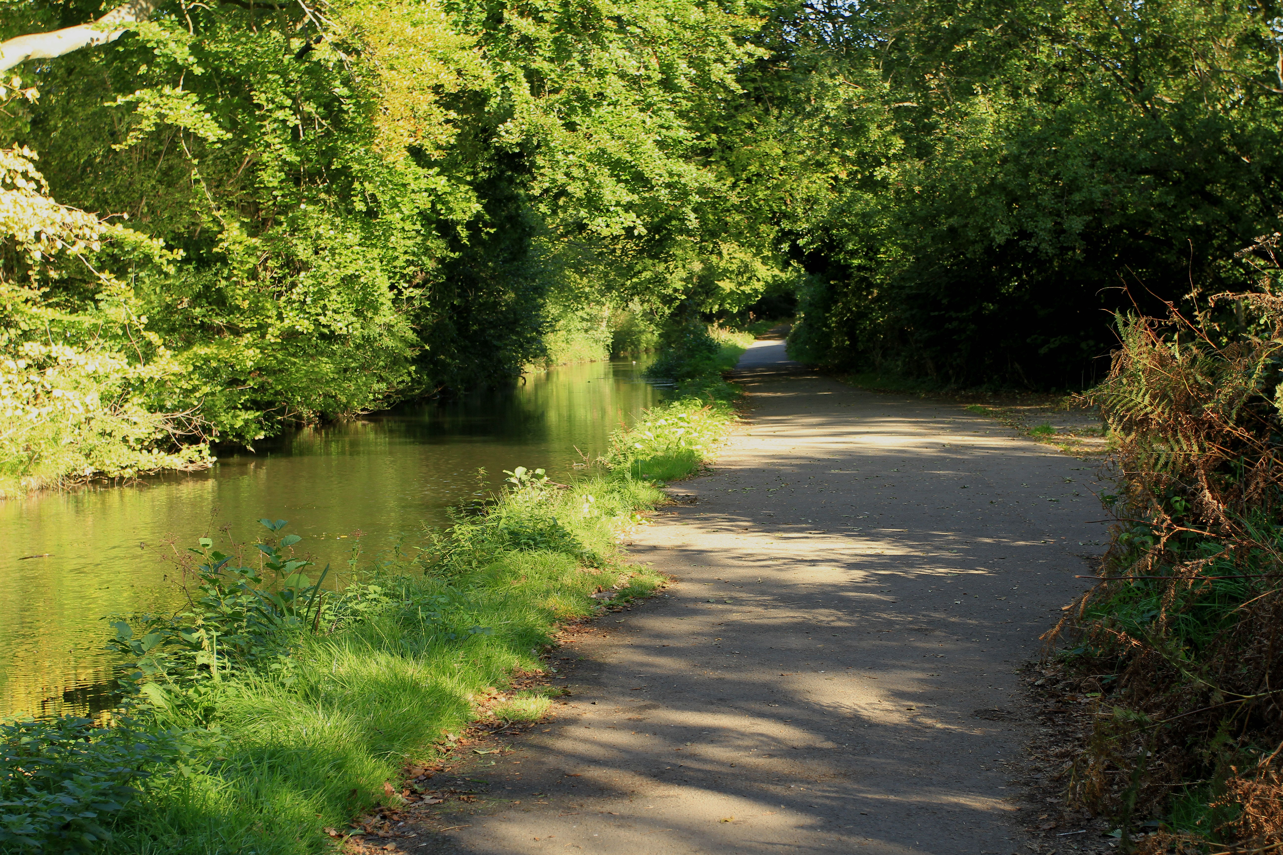 Canal Relay  Marathon - 26 mile walk  - IMG 1105