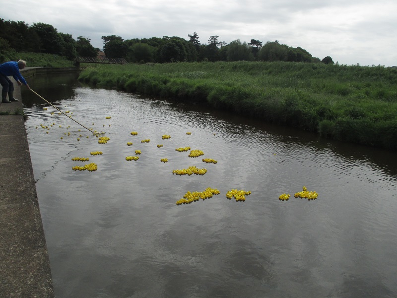 Rotary Duck Race - Spectators on the bank urging on their favourites