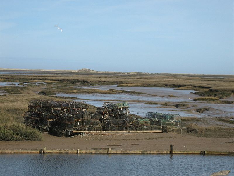 Walking weekend 2011 - Another view of the mudflats at Brancaster Staithe