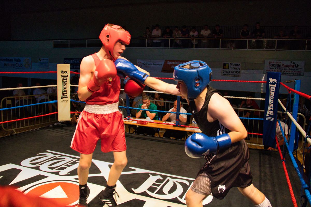 Boxing Tournament  - 