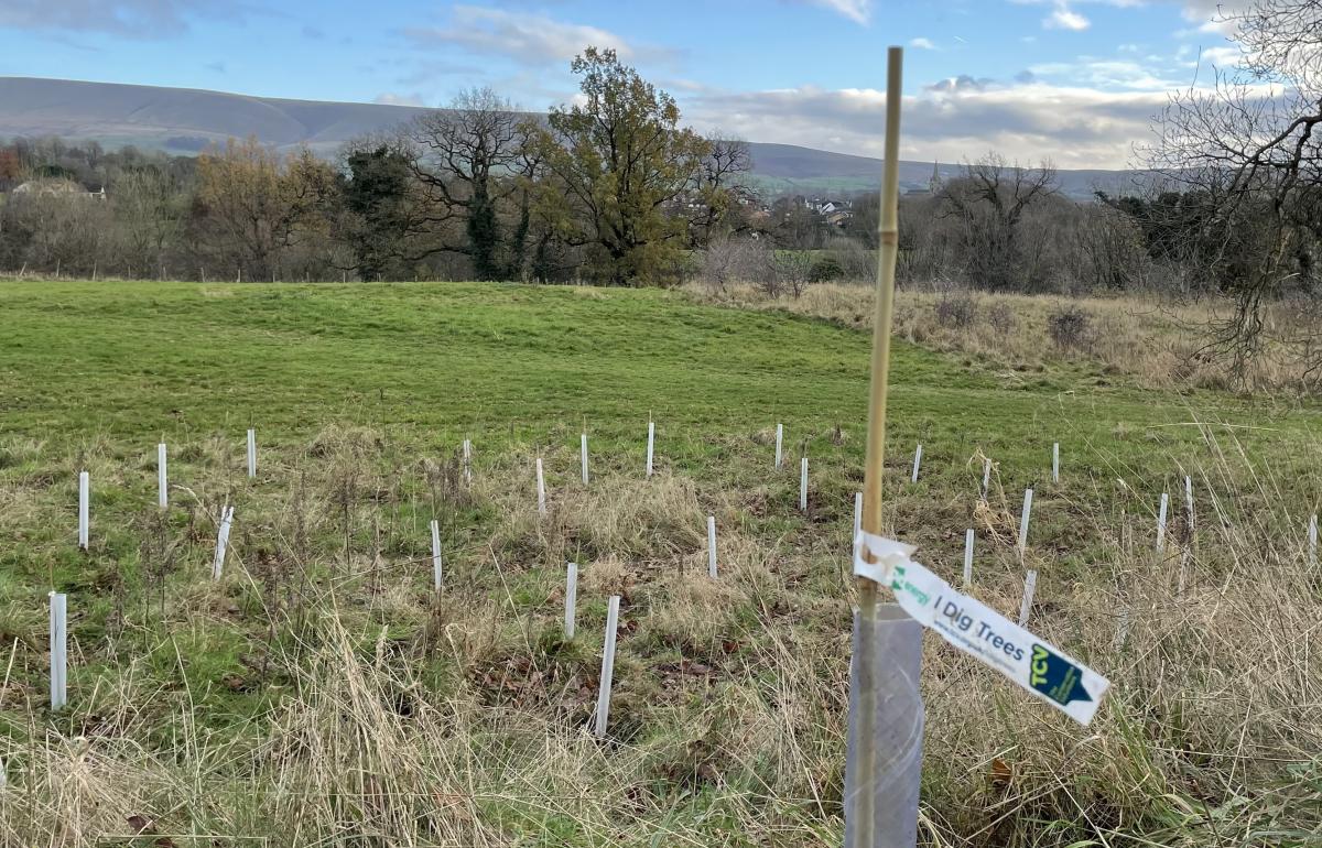1,000 Tree Planted by Clitheroe Rotary in 2022 - 