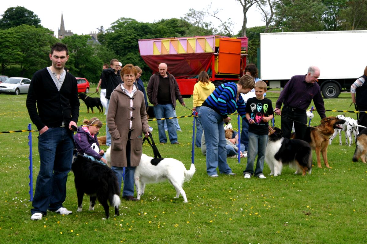 Dog Show 2006 - 