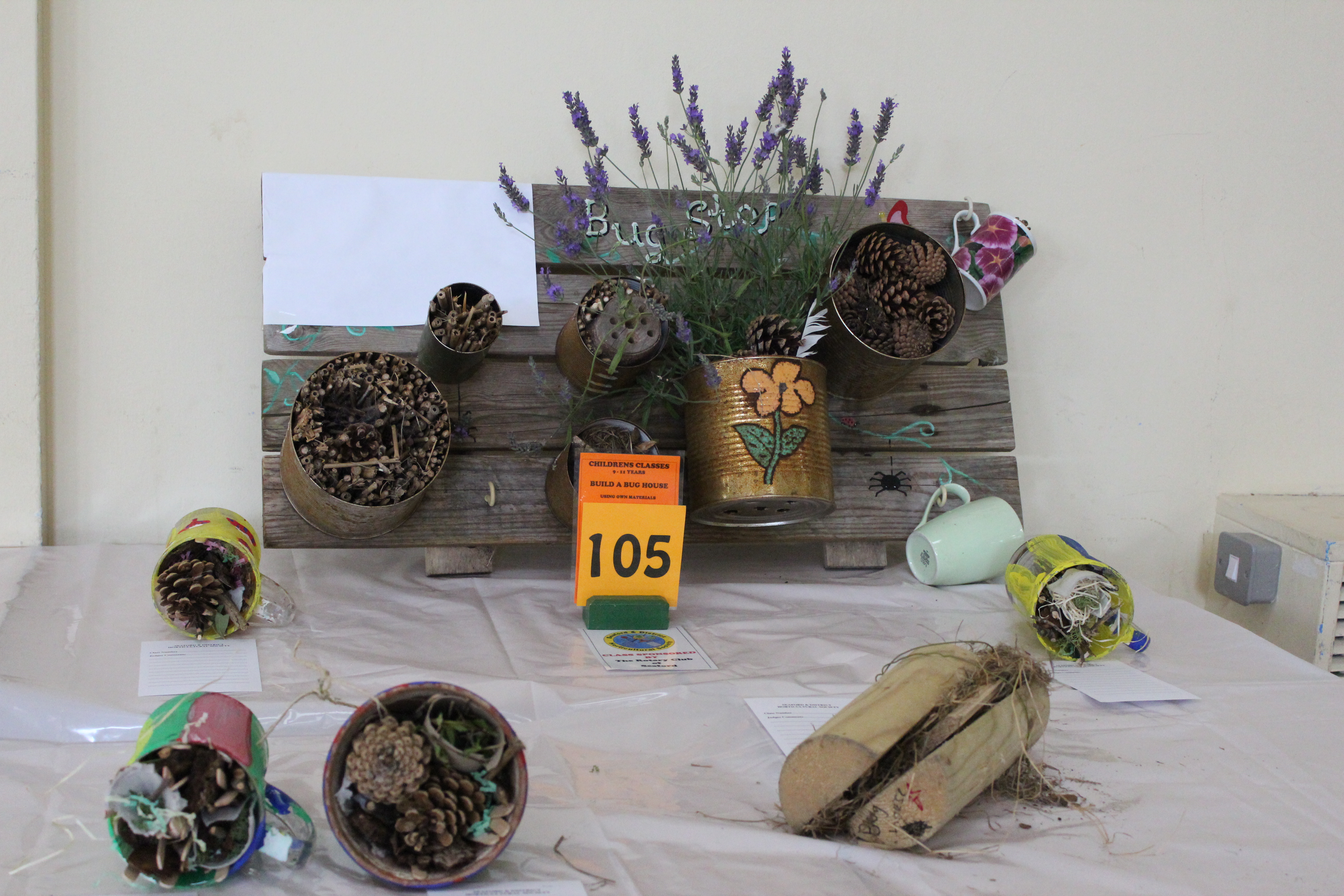 Seaford Horticultural Show - IMG 5439(1)
