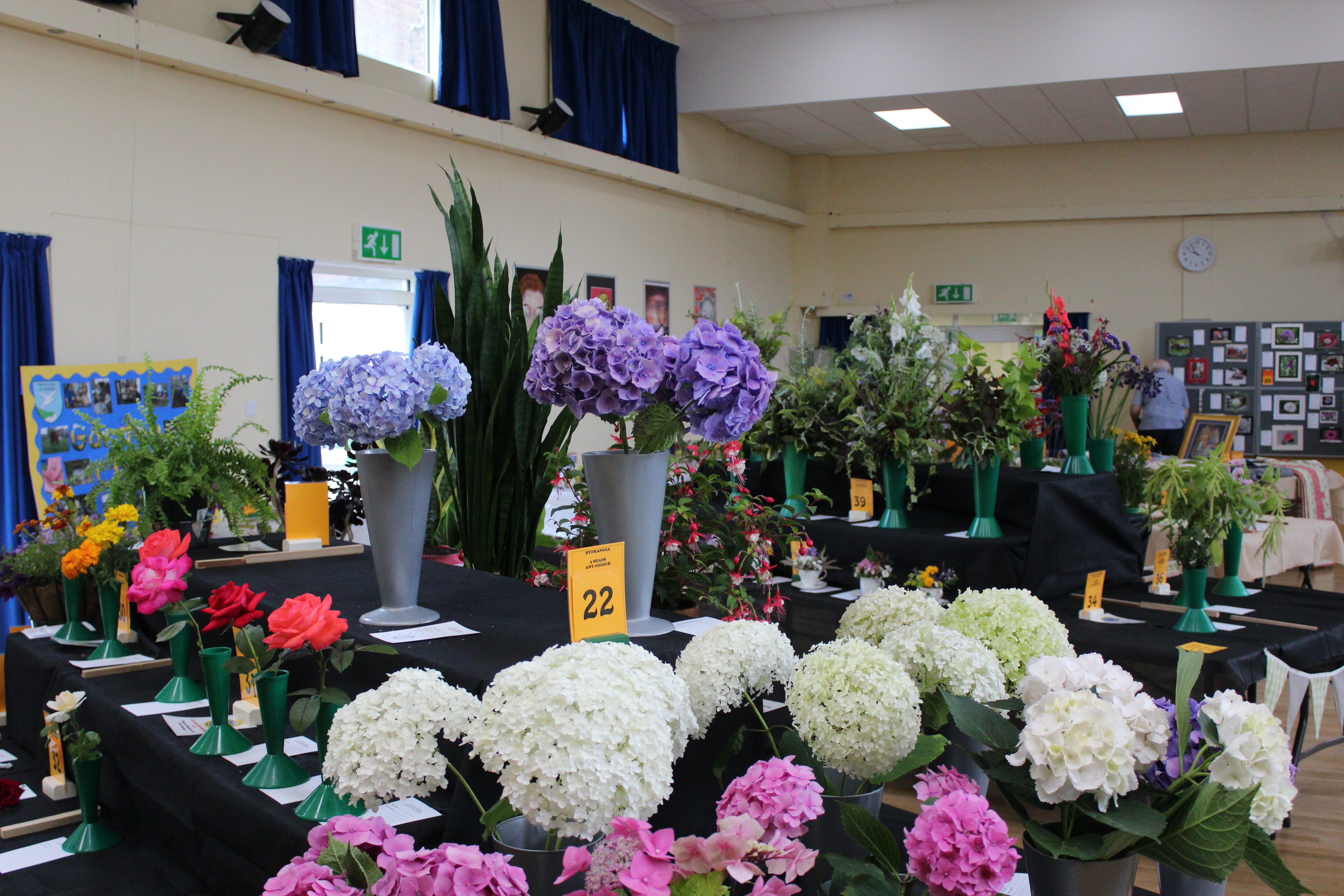 Seaford Horticultural Show - IMG 5443