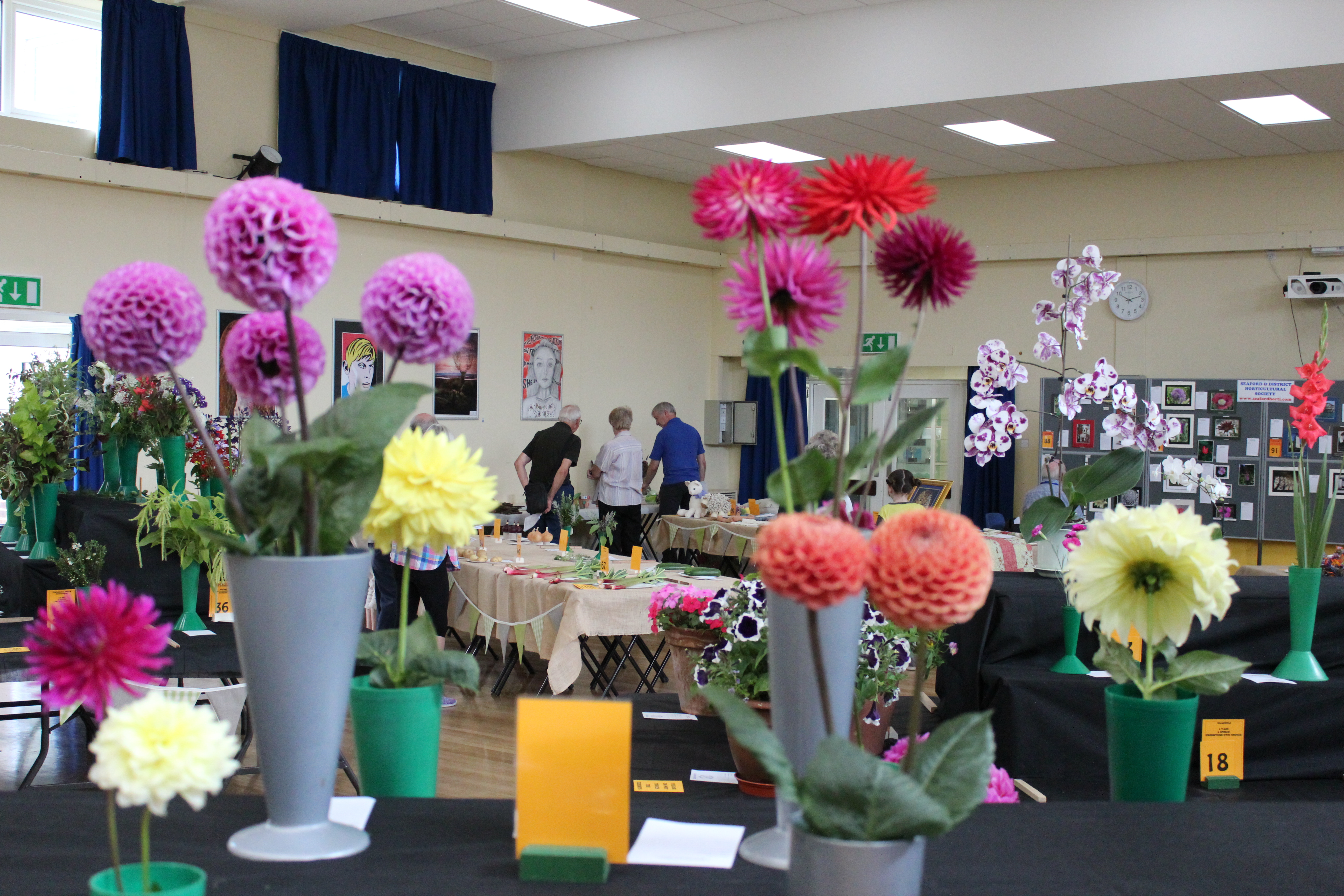 Seaford Horticultural Show - IMG 5460(1)