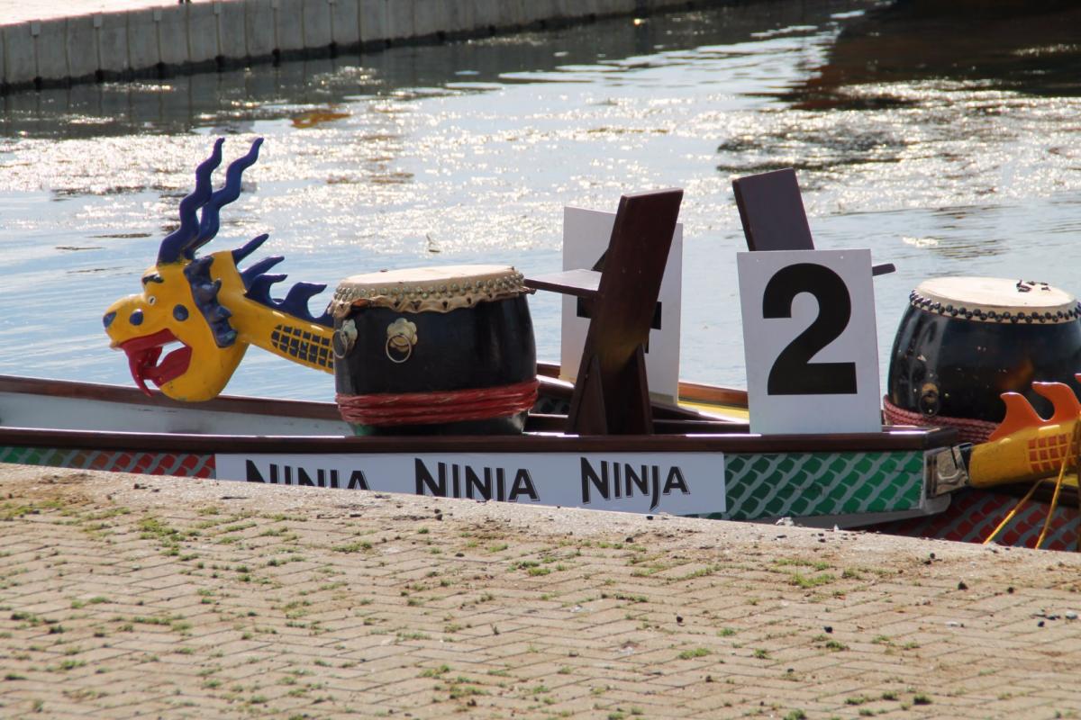 Rotary Dragon Boat Challenge 2017 - IMG 6082(1)