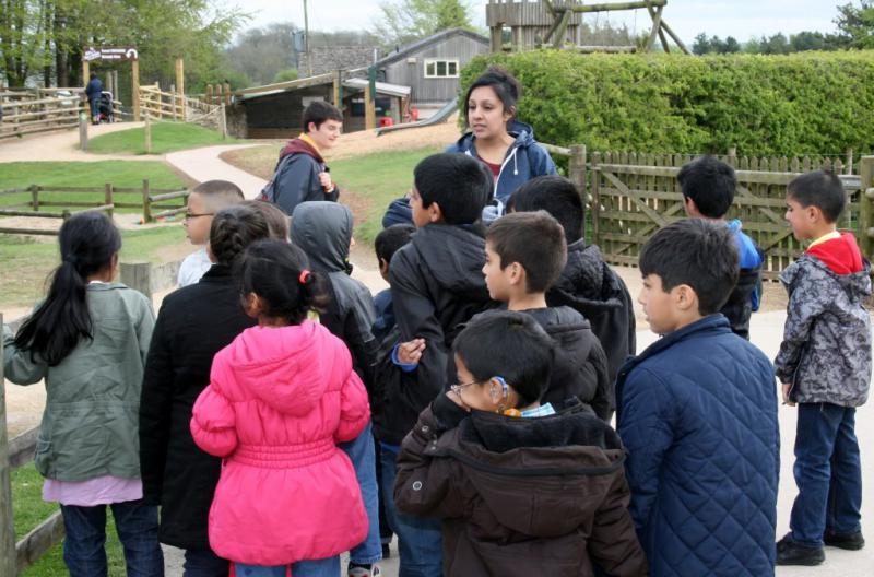 School Visit to Cotswold Farm Park - IMG 6105 1