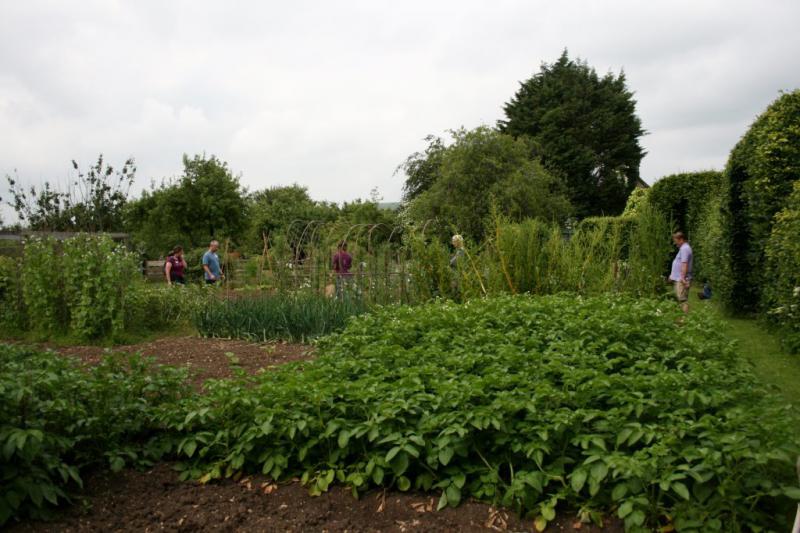 The Hidden Open Gardens of Frampton on Severn - 