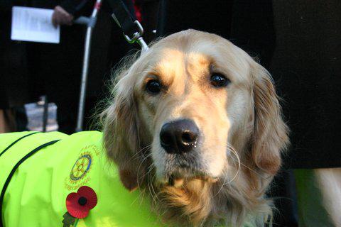 Remembrance Day Parade - 
