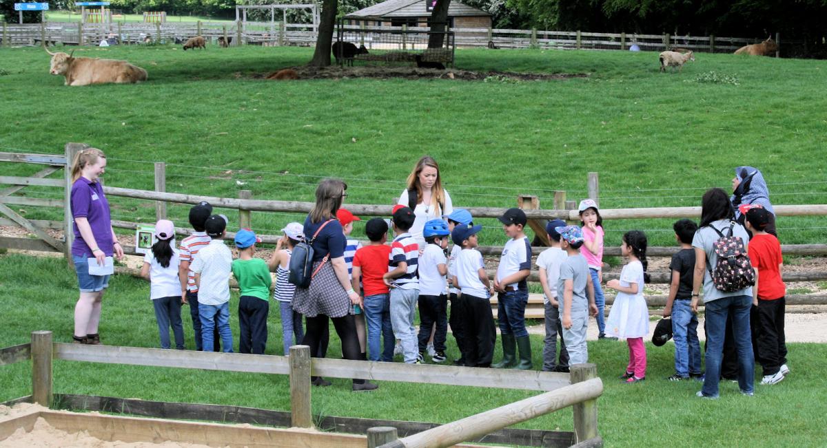 Youngsters day out at Cotswold Farm Park - 