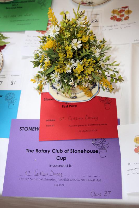 Stonehouse Horticultural Show - 