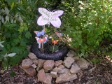 Butterfly Gardens updated 2009 - 
