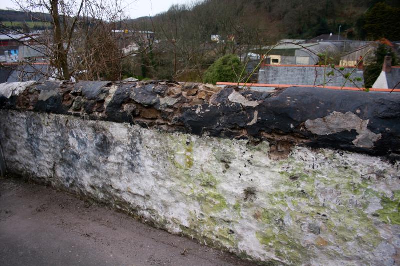 White Wash For Flora - Crumbling Walls (Photo courtesy John Head)