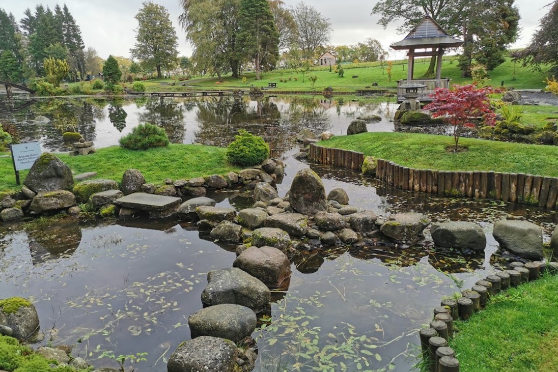 Visit To Japanese Garden Dollar Rotary Club Of West Fife