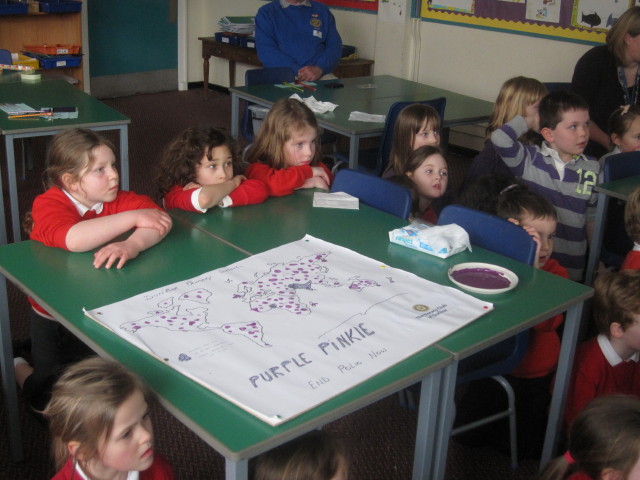 Purple Pinkie Days at Dunbar Primary schools - John Muir Campus 4