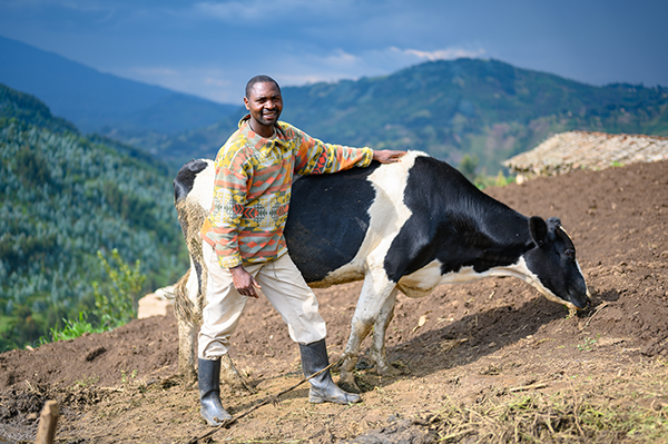 Lendwithcare - Leonidas in Rwanda raises cows for milk & meat and grows potatoes & maize. Thanks to his Lend with Care loan he built a house for his family. He wants to buy more land to grow more potatoes. 