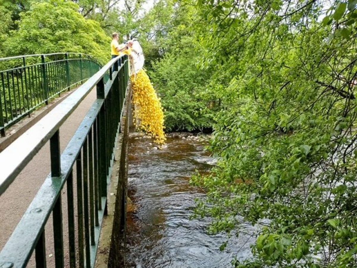 Dunblane Fling and Duck Race 12.00 - 17.00 Duck Race 13.00 - 