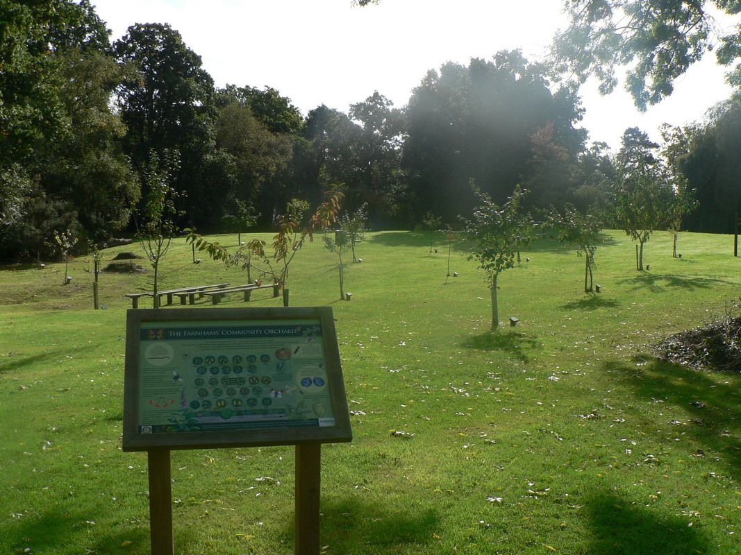 Farnham Common Community Orchard - 