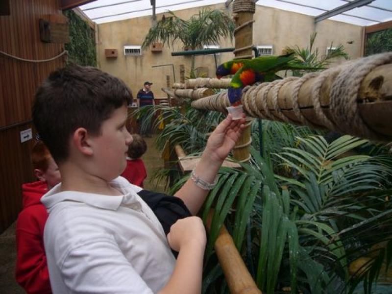 2015 Kid's Out to Colchester Zoo - 