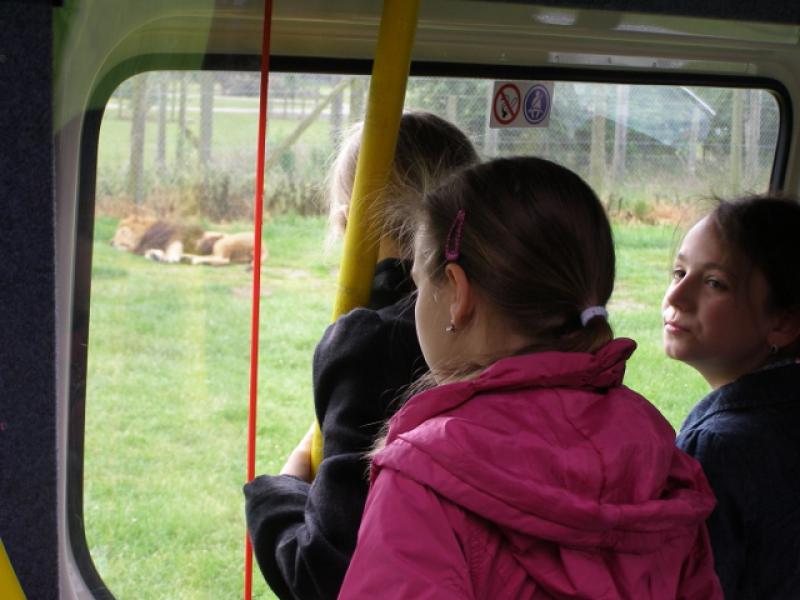 Chernobyl Kids visit to Blair Drummond Safari Park - P6242033 (640x480)