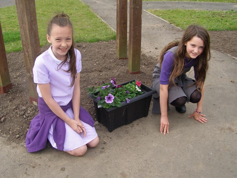Primary School Garden Challenge - P7020819 (800x600)