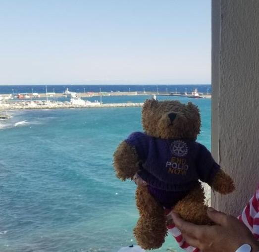 Rotary Polio Bear  - March 2022 Pauline Bear visits Famagusta, Cyprus.