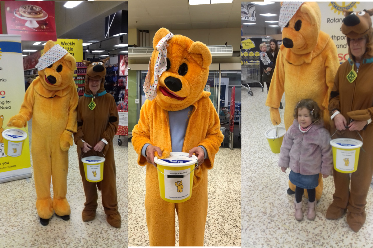 Children in Need Collection - Pudseys