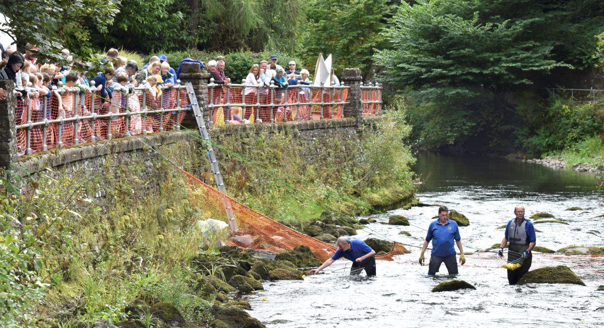 Duck Race on the Allan Water Saturday September 4th 2021 @ 14.00 - 