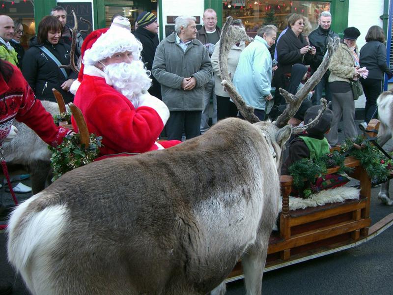 Reindeer Parade Photos -  Reindeer taking a personal interest in Santa!