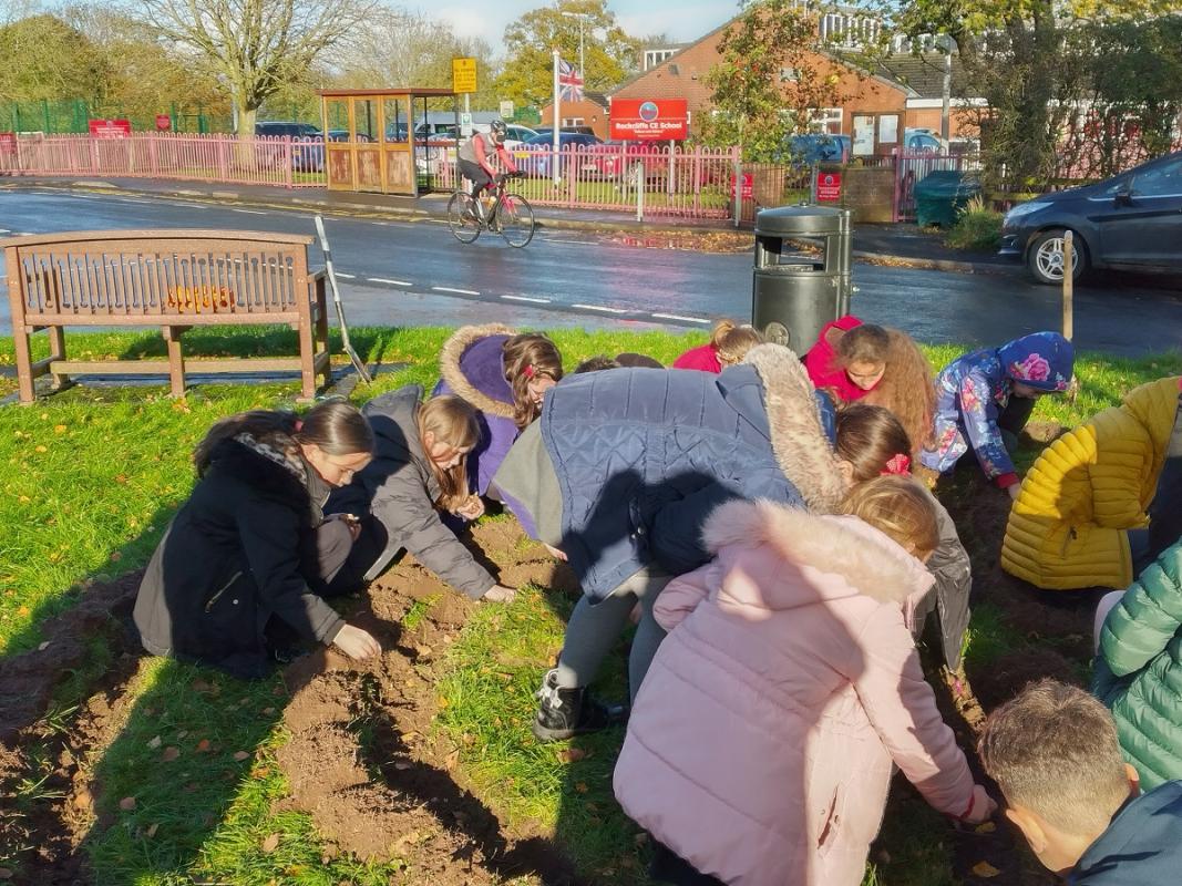 Rotakids raise over £3000 for charities - Crocus Planting to promote Polio eradication