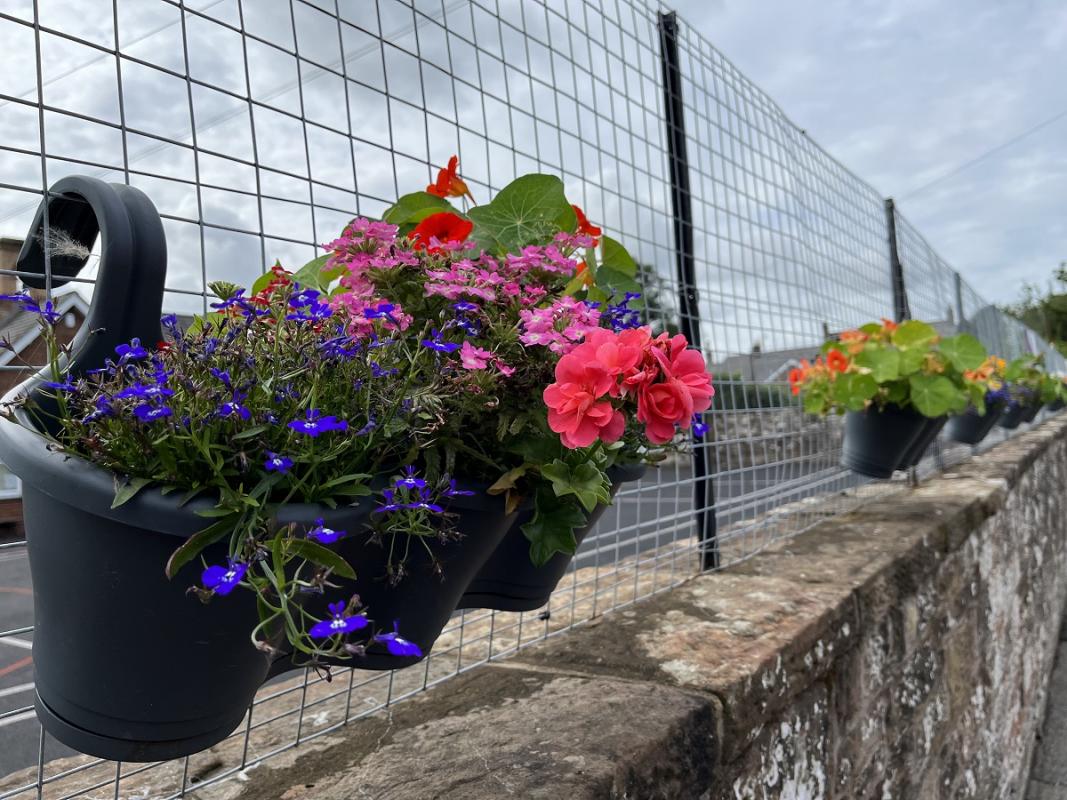 Britain in Bloom Finals - Plants outside Irthington School
