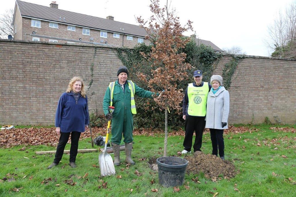 A Year in the Life of Cheltenham North Rotary Club - Tree Planting