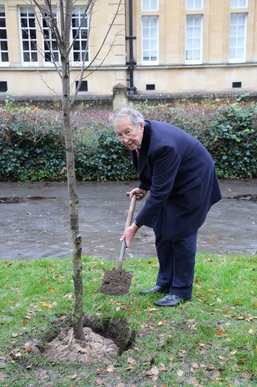 Centenary Trees  - Eric Labrum planting a Hornbeam Tree in memory of his Wife Jill.