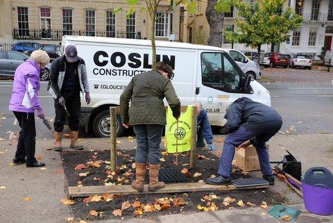 Centenary Trees Project Pictures - Crocus Bulbs and Tree Planting at the Launch