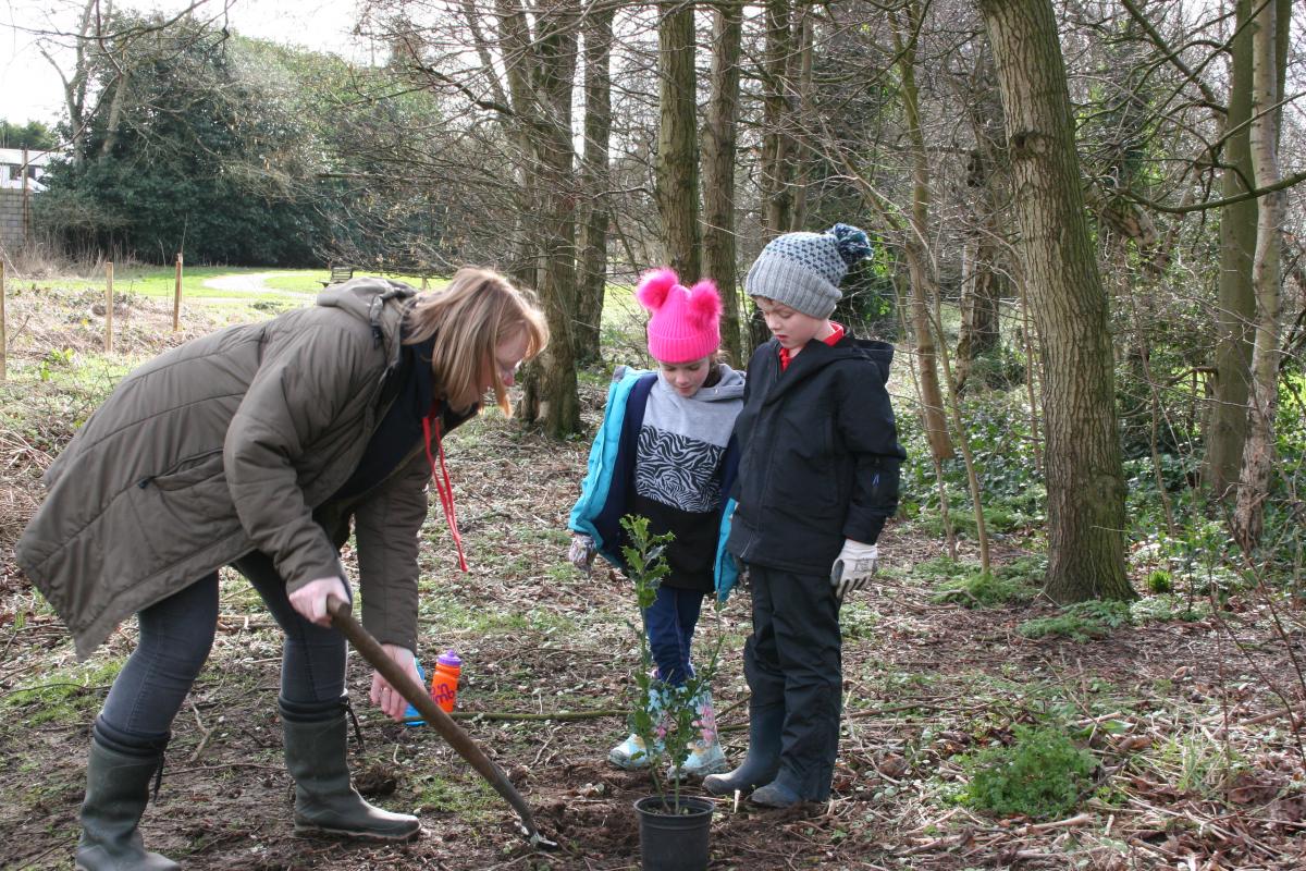 Community Tree Planting - Let Digging commence!