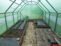 The Martins Garden - Helping Mental Health - Sign of green shoots