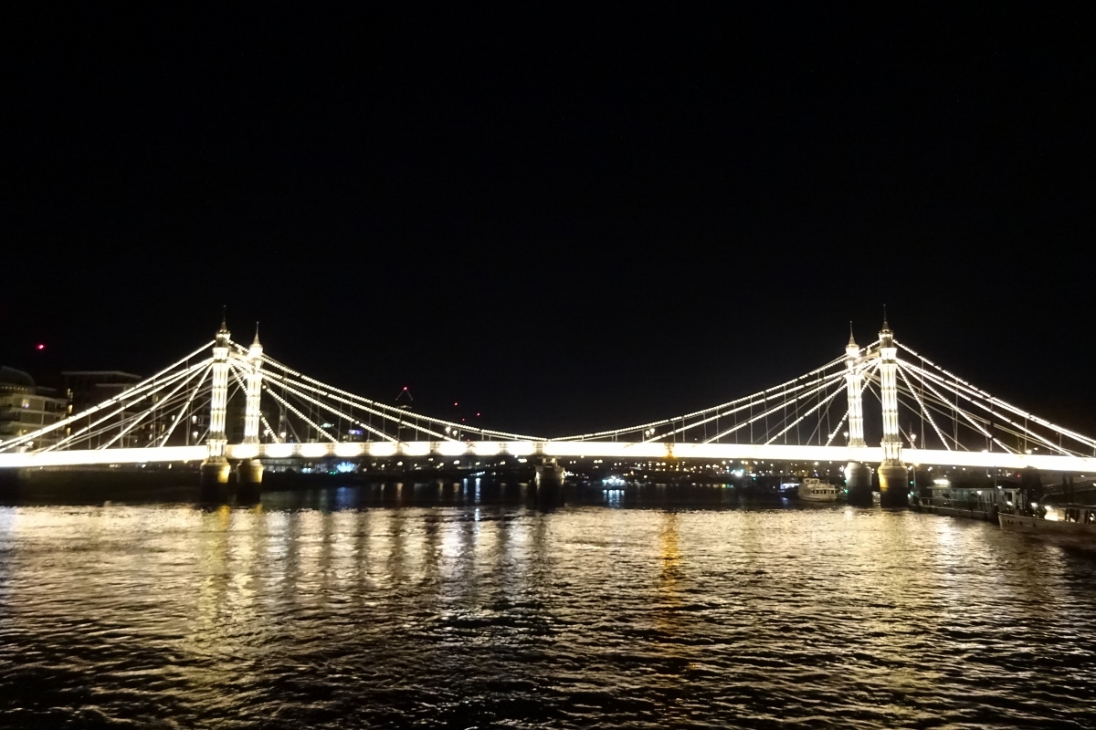 Thames Evening Cruise to see the LED lit Bridges. - 