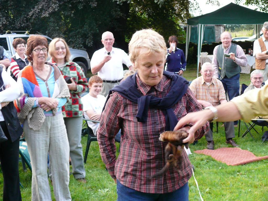 Fun & Frolics with Ferrets - They're warm and cuddly ... aren't they??