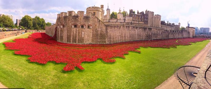 Rotary Club of Scarborough - Tower Poppies pic