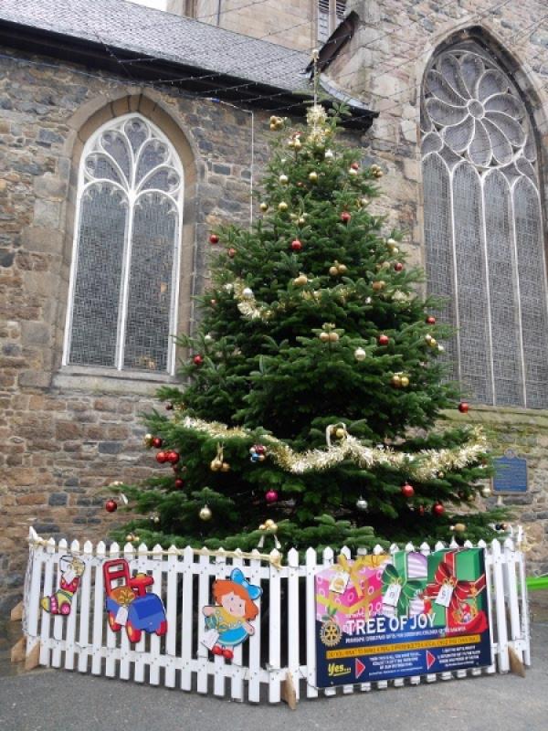 Tree of Joy (16 November 2014) - The Town Church Christmas Tree 2014 has been donated by Mr McKenzie and his family.