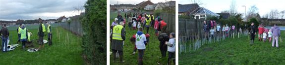 World Record Tree Planting - The team at Newlaithes School