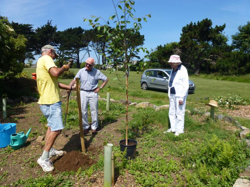 Delancey Garden Tree Planting (June 2014) - Nigel, Keith & Beth