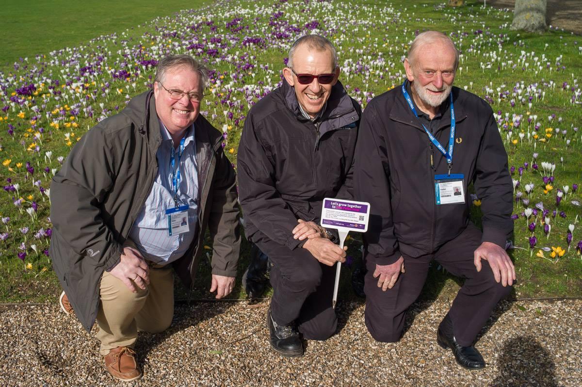 Polio Eradication - Rotarians Robin Martin and John Wilson join horticultural manager Anthony Boulding to view progress on the display
