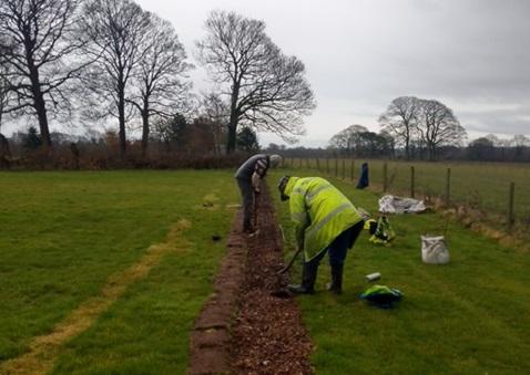 Wirral Hedge & Tree Planting - 