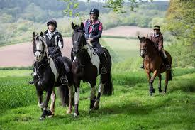 ROTARY AMBER VALLEY ANNUAL CHARITY HORSE RIDE  - 