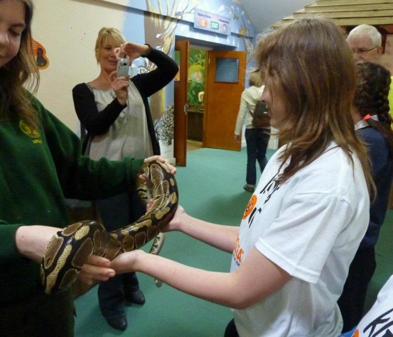 Kids Out - snake handling