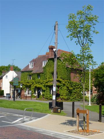 Stonehouse High Street New Trees are in leaf - sh8 (Small)