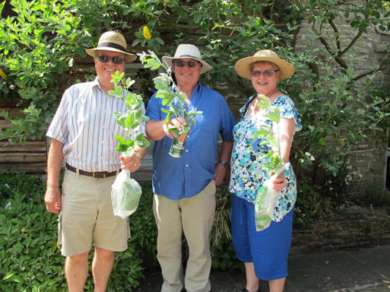 Garden event and frugal lunch at Clive and Joan's - Patrick Paul and Sheila - may the best pineapple grower win!