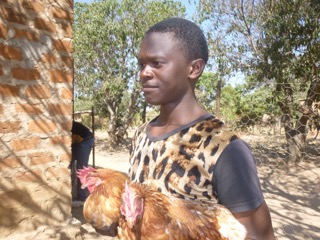 Our Zambia Project - Update - A member of the village moving some of the flock to a new area.